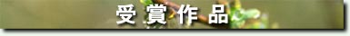 btop02.jpg